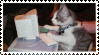 cat typing gif